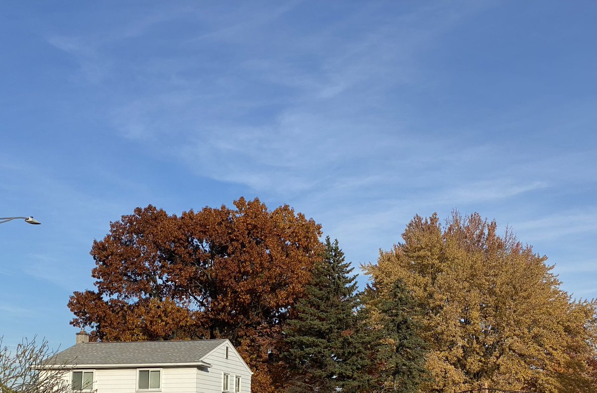 bassKMB's tweet photo. Impressions of Autumn in suburban SE Michigan. https://t.co/W3KH98mapE
