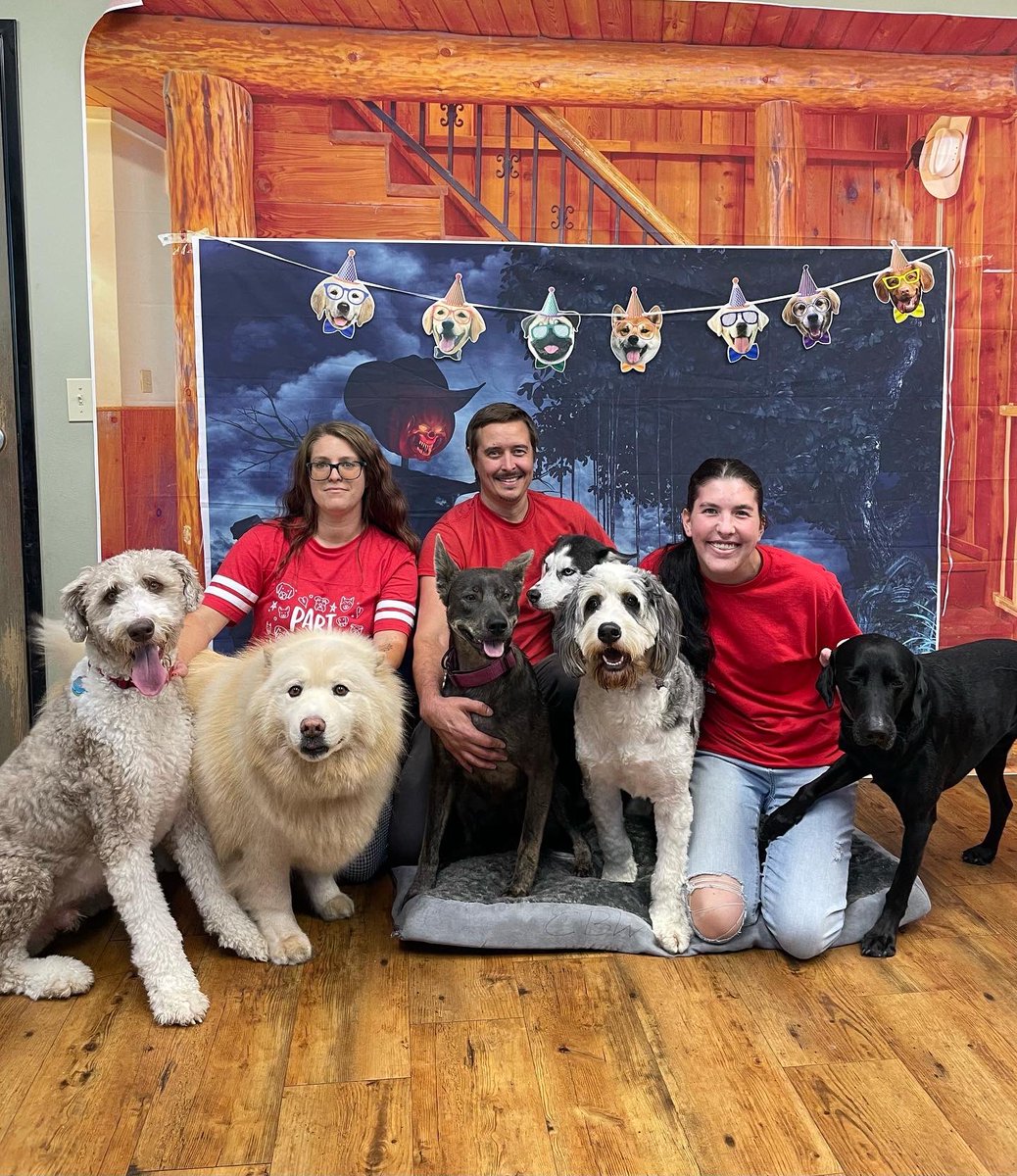 CampBowWowSC's tweet photo. Happy October birthday to our big dogs Rollo, Bear, Stella, Leo, Ziggy, and Moose.
Happy October birthday to our little dogs Cleo, Pom-Pom, Luna and Jellybean! 🤩🎉
#birthday #dogs #doglife #doglovers #dogbirthday #october #campbowwowsanclemente #danapoint #lagunabeach https://t.co/xwCjxhzFrB
