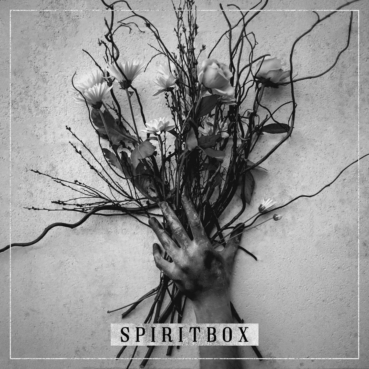 Spiritbox tweet media