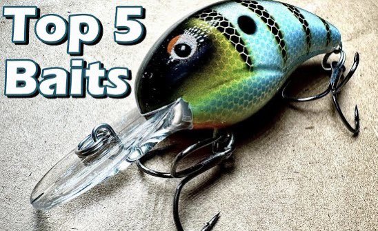 BassGeekFishing's tweet photo. Top Five October Baits!
https://t.co/At6kXrUb1E
#top5baits #top5lures #fishing #bassfishing #fishingtips #bassfishingtips #bassbaits #bassgeek #youtubeangler #bass #topwater #fishingaddict https://t.co/KLnbSeFkUq