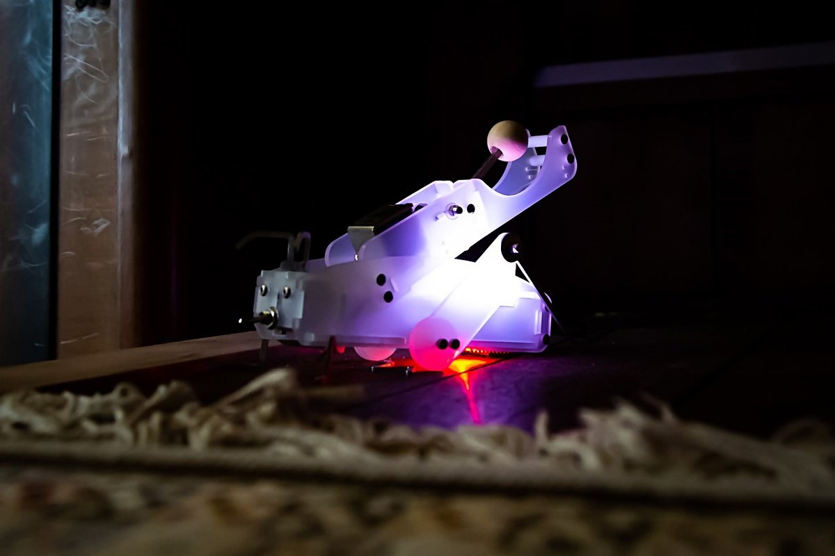 うどん県 tweet media