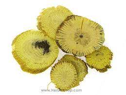 CurableSmoothie's tweet photo. #ChineseHerbs – #MuTong (Caulis Mutong) https://t.co/I1pVttffqA https://t.co/D5jnIG4u9b