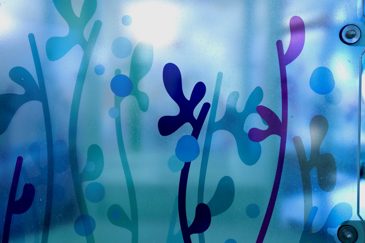 Durango Recreation tweet media