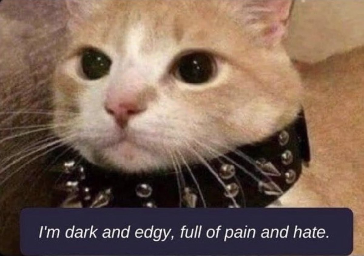 when i meet someone new