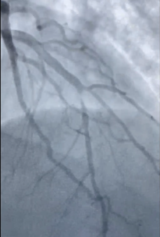 David Didlake tweet media