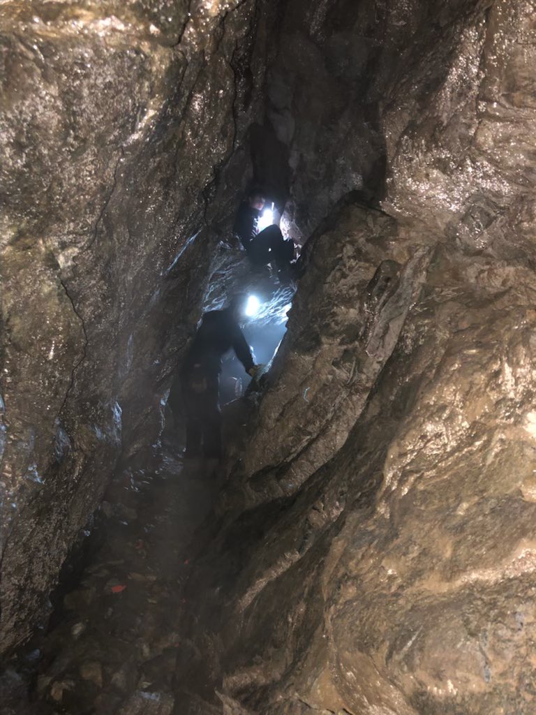 Look what OED got up to today. #sd33learns.