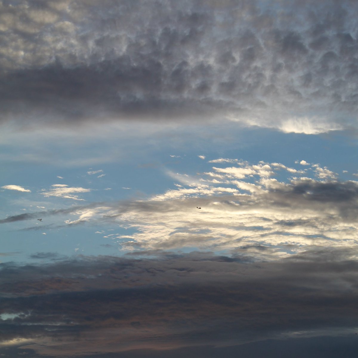 boba rocky 🫶

#MAMAVOTE #astro
#라키 #ROCKY #아스트로 <a href="/offclASTRO/">ASTRO 아스트로</a>