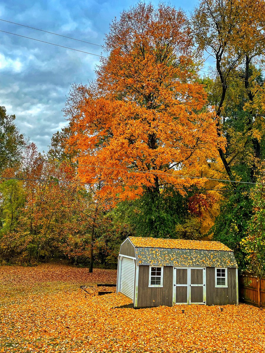 Lindsay Hines tweet media