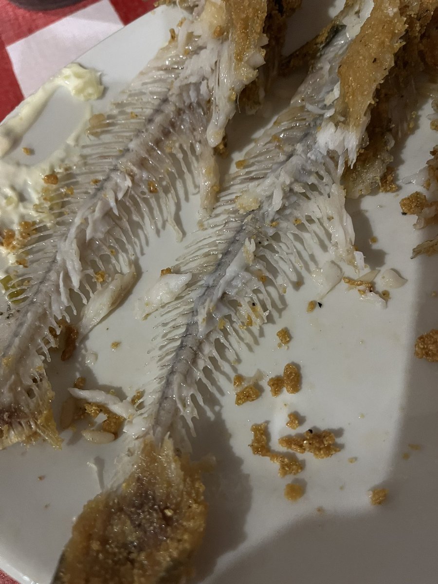 CoachHubbyProbz's tweet photo. Remnants #catfish #OldTaylor https://t.co/zfJH570RTi