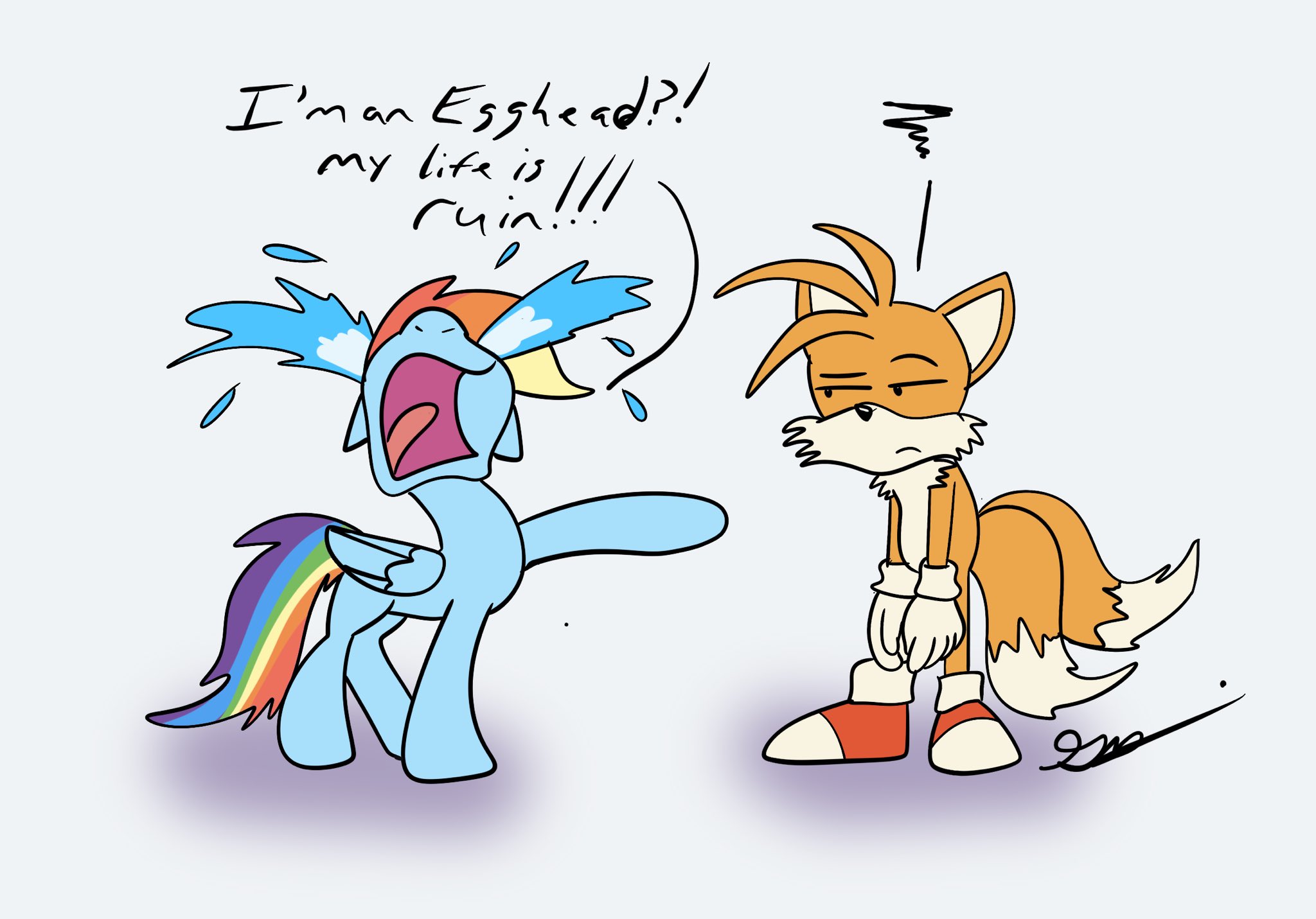 FestiveArts (C0mm Open) on X: When Rainbow Dash founds out she share the  same voice with Tails in Sonic Prime XD:  / X