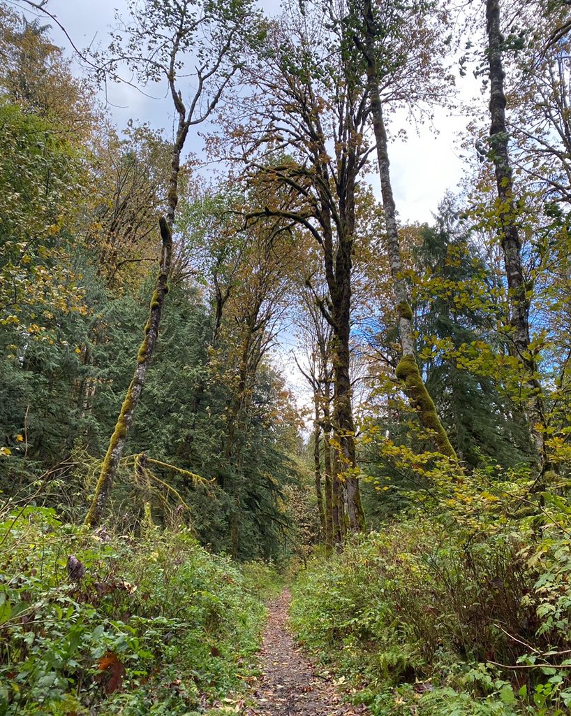 Beautiful day to take students outside❤️ #sd33learns #outdoorclassroom #outdooreducation #middleschoolteacher