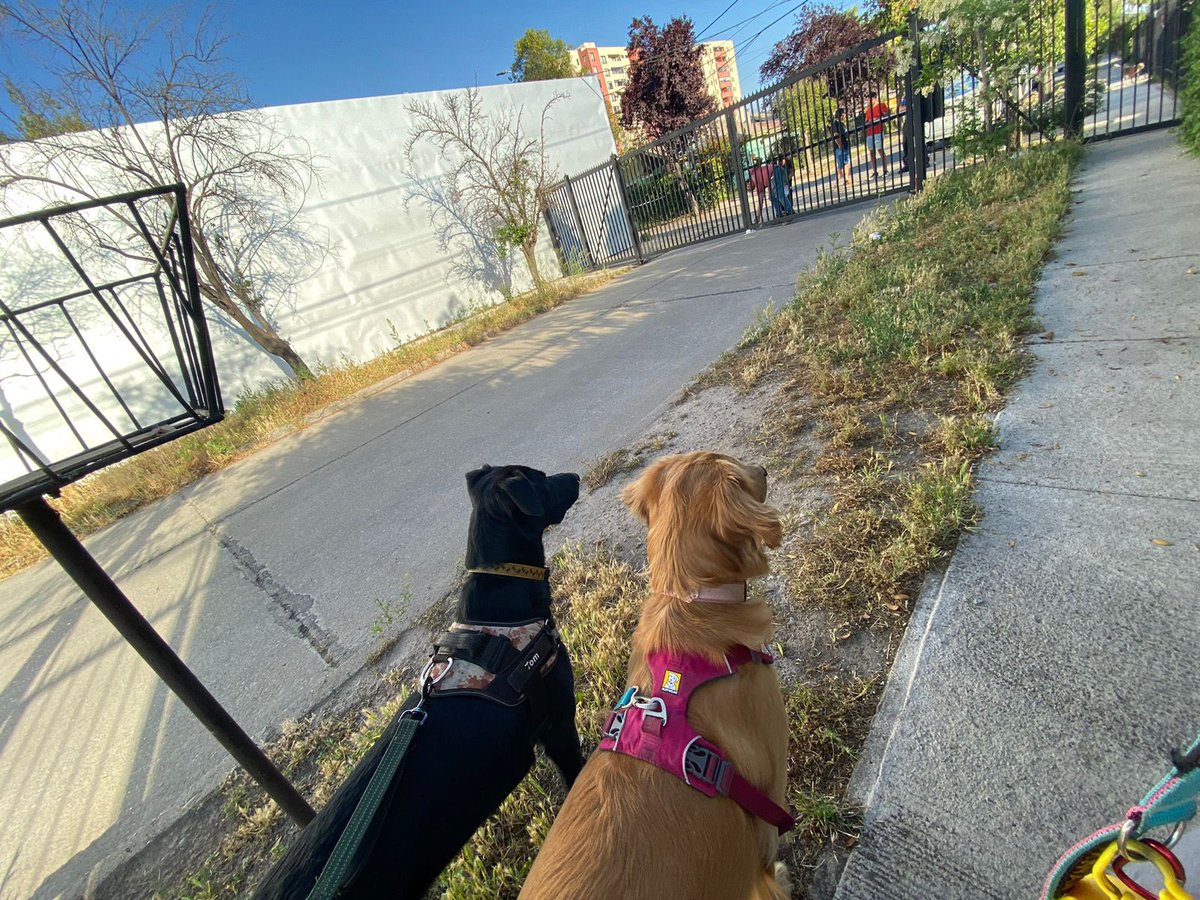 VictoriaaValle2's tweet photo. Y hoy nos trataron mal impidiendo el libre tránsito peatonal, donde todos sabemos que es ilegal. Estos vecinos no tienen el permiso tampoco para hacer algo así y no es primera ves que insultan y han salido hasta con pistolas a amenazar @rodolfocarter alcalde necesitamos ayuda! https://t.co/2Yxb1Fchrh