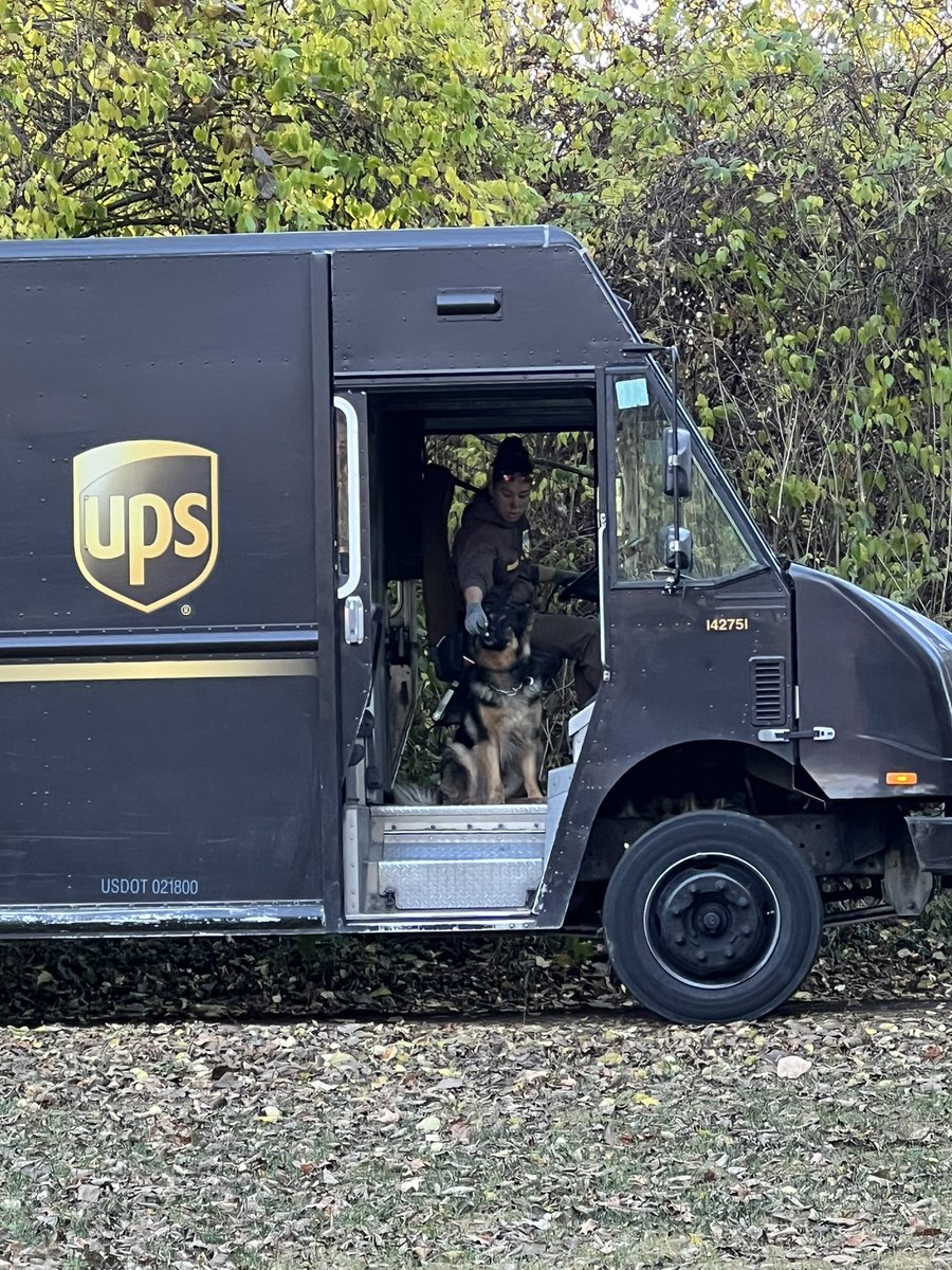 Steve Casebolt tweet media