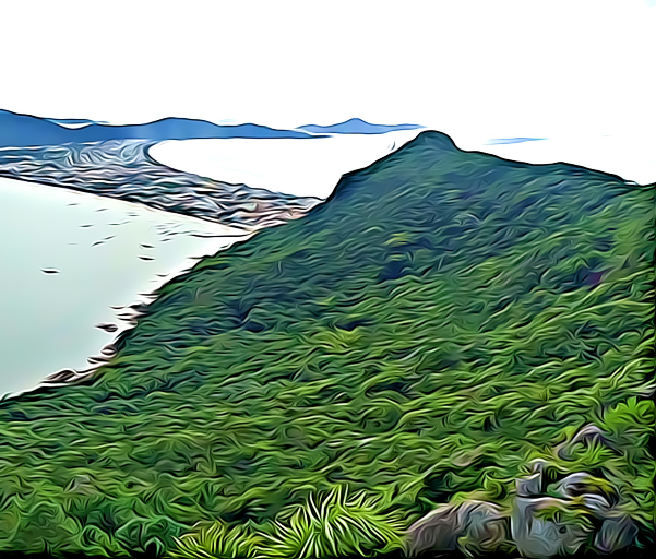 TFC_COLLECTIONS's tweet photo. Ecological viewpoint #3
Trilogy of one of the most important oceanic bays in Brazil.
https://t.co/T1WtWLhy1W

#nftinvestor #nftmarketplace #nftphotography #nfts #nftworld #nftcommunity #nftcollector #nftgallery #nftsale #nftopensea #nftcollectors https://t.co/IX3Pk9OoGB