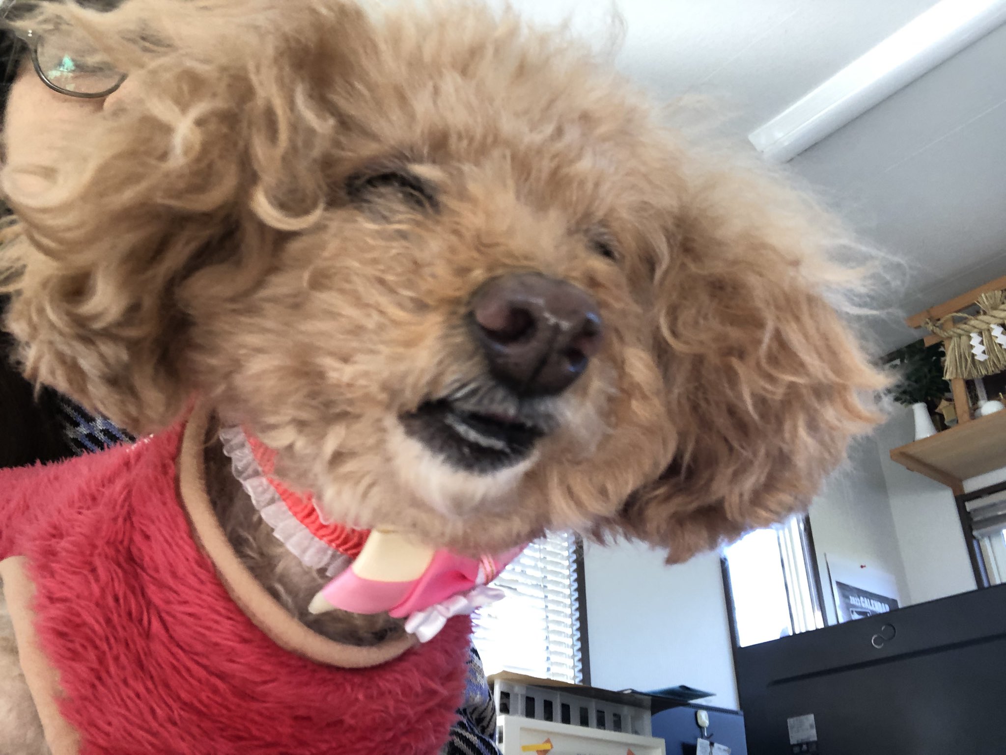 林 泉 街の電器屋カツデン Zumipon15 Twitter