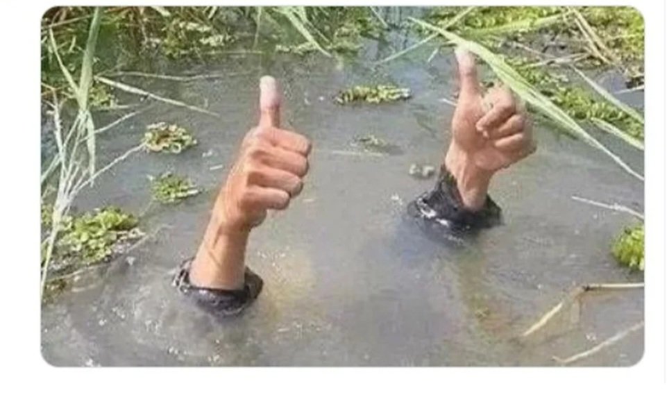 DannyR4545's tweet photo. Como se siente salir de una crisis de Pandemia y entrar a una crisis Económica https://t.co/SQmHrt2TXU