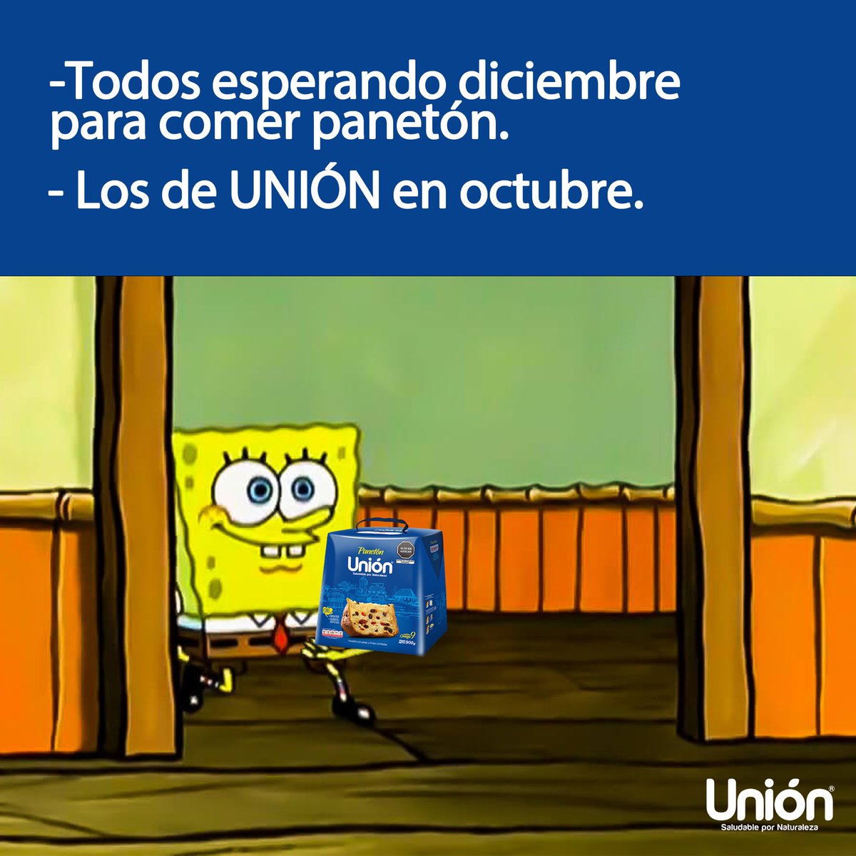 union_pe's tweet photo. Panetón para todos 😎

Una temporada muy especial para nosotros ya empezó 🥳🎄

Adquiere una de nuestras 5 variedades de panetones que tenemos para ti. 

Escríbenos para más info 🤓 https://t.co/vfcKTnWjot
