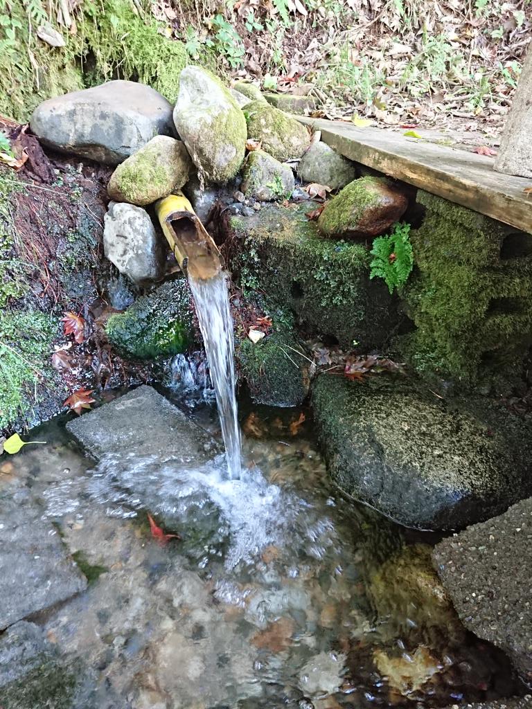 「朝のお散歩ドライブ。近場の湧き水スポットに寄ってみた。次はこの水でコーヒー淹れて」|puntoのイラスト