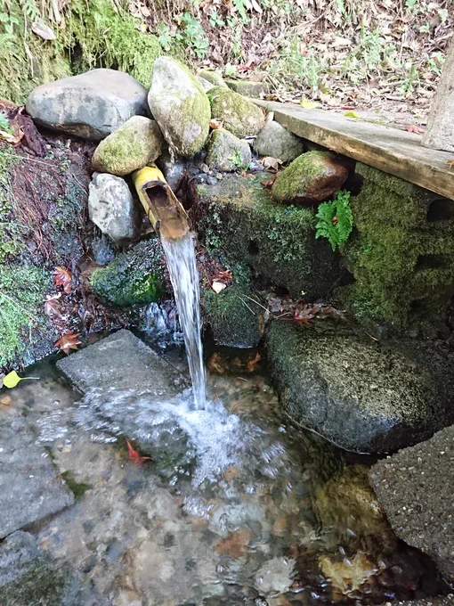 朝のお散歩ドライブ。近場の湧き水スポットに寄ってみた。次はこの水でコーヒー淹れてみよう 
