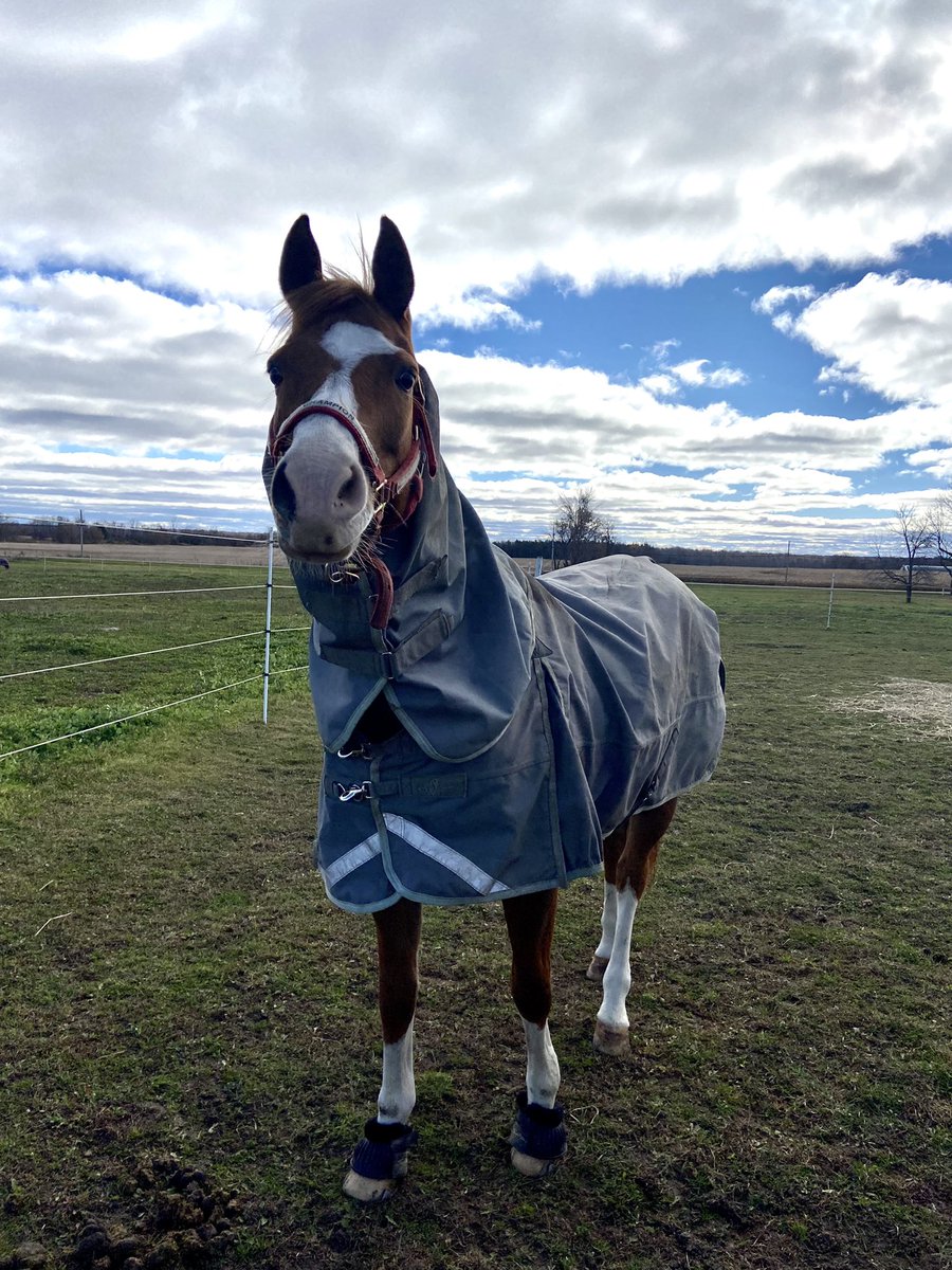 fourfaults's tweet image. do y’all remember