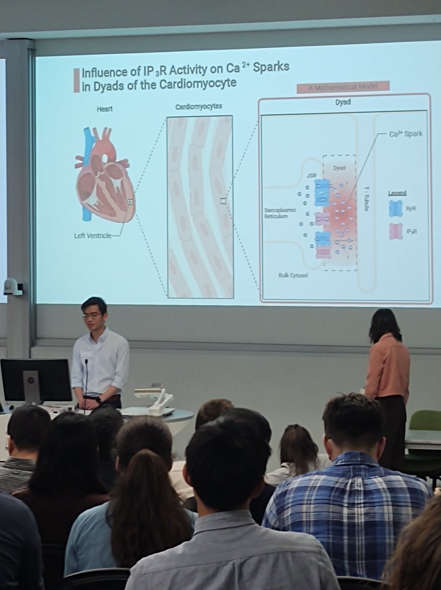 Vijay Rajagopal (@vj_rajagopal) on Twitter photo Very excited to introduce our ability to create digital twin models of cardiac biology <a href="/VicMuscleNet/">VictorianMuscleNetwork</a> through two posters on cardiac ageing and hypertrophy. #VicMuscleNet. Very excited to introduce our ability to create digital twin models of cardiac biology <a href="/VicMuscleNet/">VictorianMuscleNetwork</a> through two posters on cardiac ageing and hypertrophy. #VicMuscleNet.