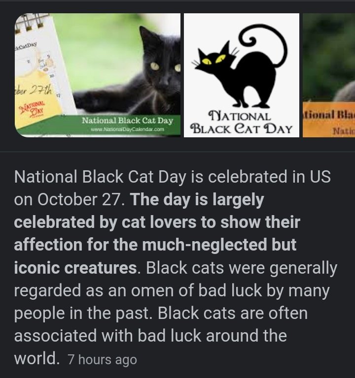 Rosefrom_mars's tweet photo. #RAVN really left on national black cat day?!?! 💀
THATS THE MOST RAVN THING HE COULD DO 
#RAVNCOMEBACK 
#Ravn_back_to_ONEUS #RAVNComeBackHome https://t.co/wY1czsEyOp