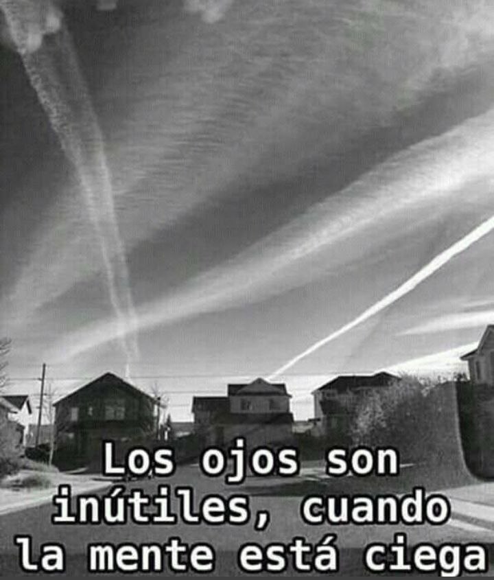 ciclografias's tweet photo. @glezjuanje https://t.co/Cj661qVt28