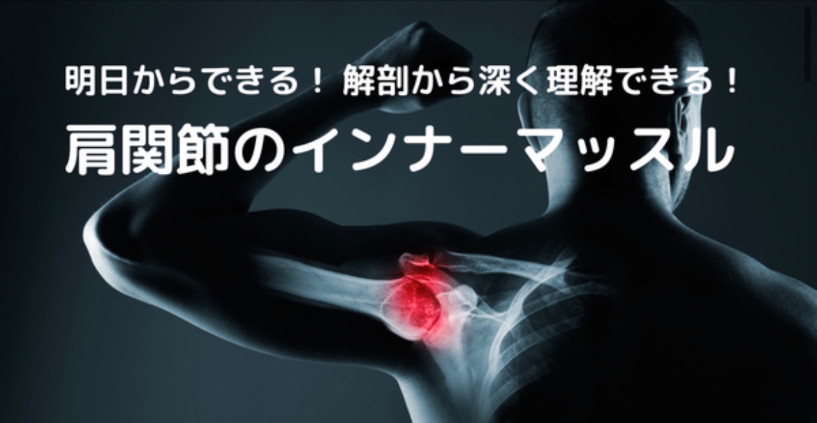 kibou7777's tweet photo. 肩関節のインナーマッスルまとめ→
https://t.co/C2rvRPQpUu
・機能解剖
・論文
・臨床
3つをわかりやすくまとめました。
インナーマッスルをただ鍛えればいいわけでもないし、無視するわけでもない。
適切に情報を選択して使い分けましょう。
#NMotion https://t.co/mGMa0i1DRu