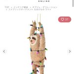 コ、コレは新手のプレイ…!？めっちゃハードな格好のなまけもの!