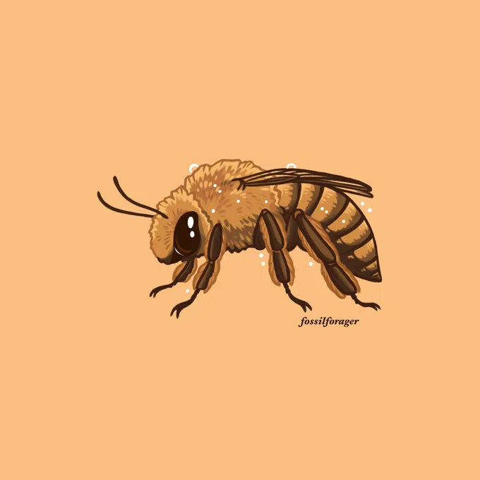 #Invertober2022 Day 27 - Squash Bee  