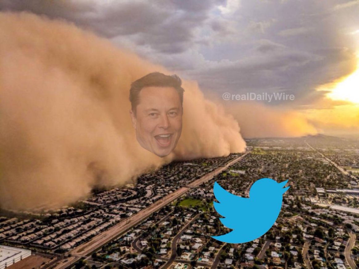 realDailyWire's tweet image. Here we go