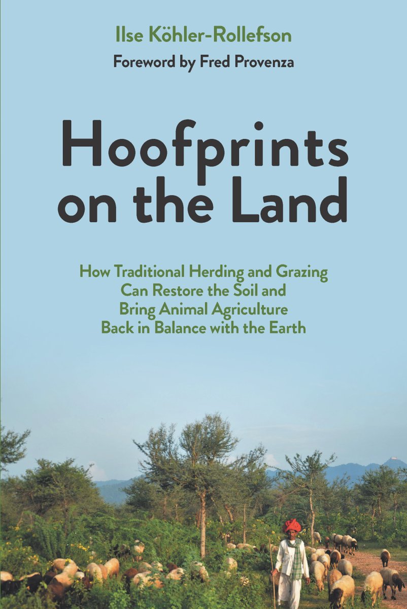 Ilse Köhler-Rollefson (@ilsekohler) on Twitter photo Out on 5th January! Now available for pre-order around the world. Hopefully changing thinking about the role of #livestock in planetary health from a multi-cultural perspective, inspired by 30 years of living with #Raika #pastoralists in #Rajasthan (India)! <a href="/chelseagreen/">Chelsea Green Publishing</a> <a href="/ORFC/">ORFC</a> Out on 5th January! Now available for pre-order around the world. Hopefully changing thinking about the role of #livestock in planetary health from a multi-cultural perspective, inspired by 30 years of living with #Raika #pastoralists in #Rajasthan (India)! <a href="/chelseagreen/">Chelsea Green Publishing</a> <a href="/ORFC/">ORFC</a>