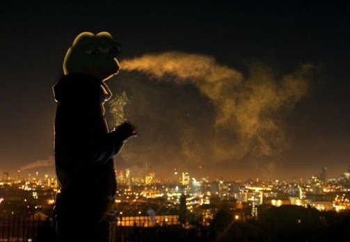 H A Z A R D tweet media