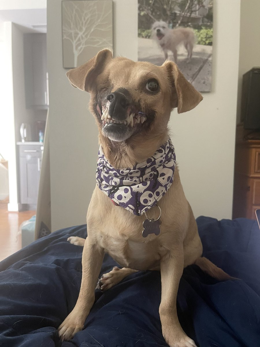 It’s spooky season!