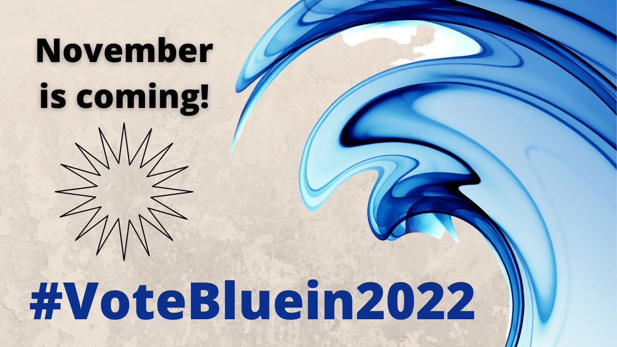 NewDayinAmerica's tweet photo. When Democrats show up to vote, Democrats win.
Make sure YOU vote blue this November!
#VoteBlue #VoteBluein2022 #BlueWave #CrewLPB https://t.co/ZenEvIPVGV