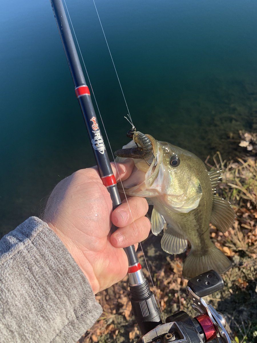 DoubleLFishing7's tweet image. The guys with #Chubbyrods sure know what they are doing in Atmore Alabama!! These rods are great!! Super sensitive and plenty of backbone!! As you can see the bass loved these #Nikkobaits the #Hellgrammite and the #SuperNed !!  This combination is a perfect pair!!