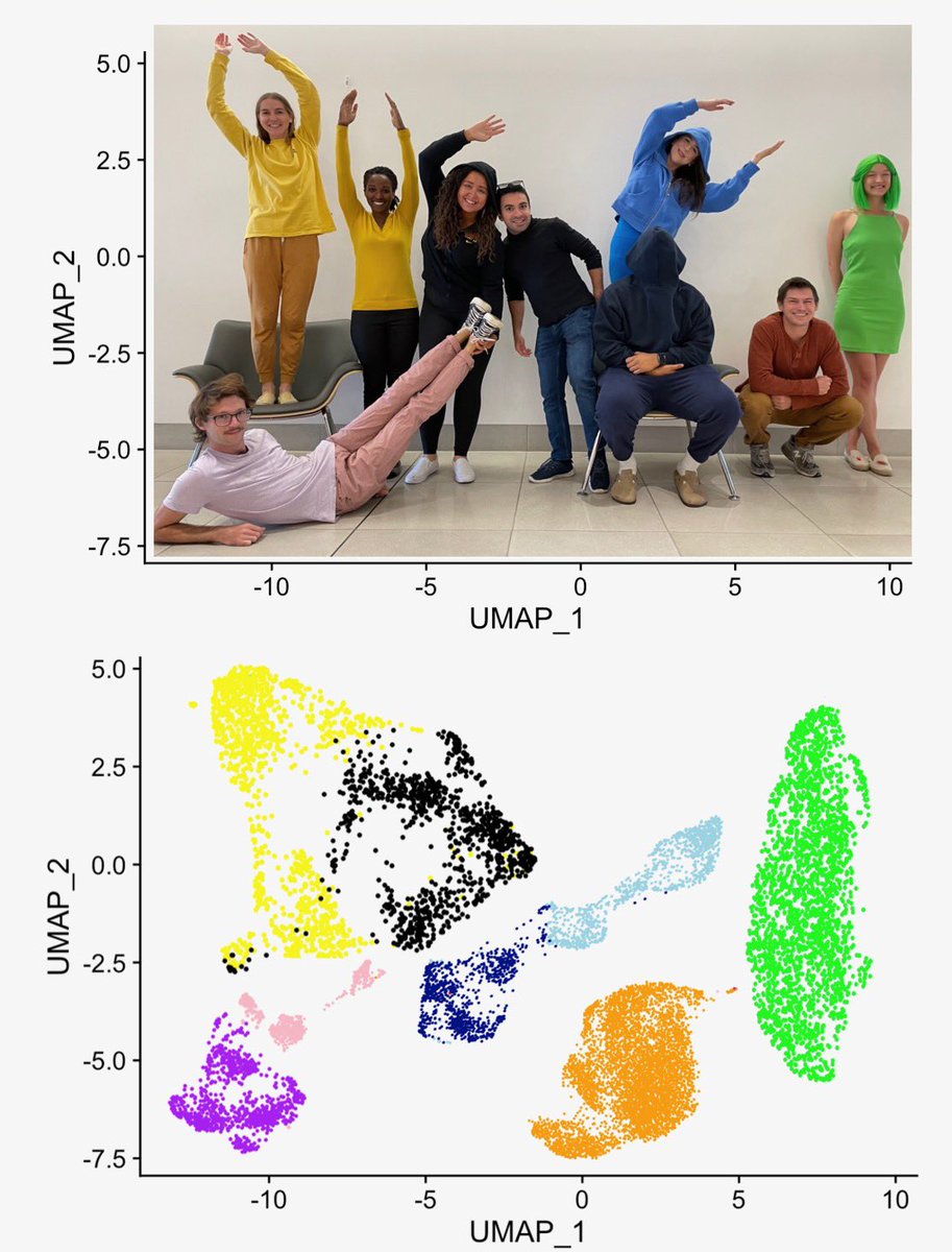 This UMAP brings all the cells to the yard, and their like, my cluster is better than yours 🦠🧬🧫 #halloweencostume love my lab! @USCSysBio_Lab