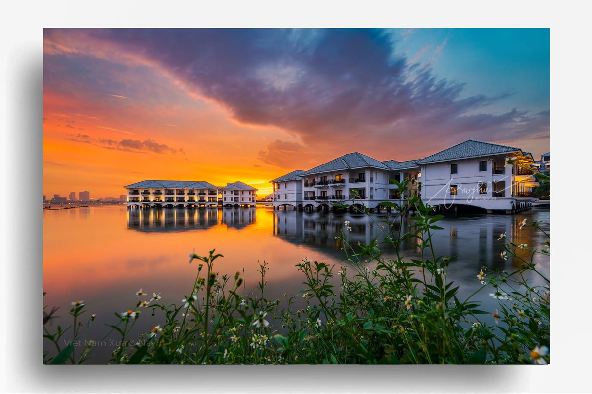 LandscapesVN's tweet photo. Thiên ưng - God Eagle
#Horizontal #NoPeople #Outdoors #Photography #Reflection #Nature #Sky #Water #Lake #Sunset #BeautyInNature #Tranquility #CloudSky #ScenicsNature #Tree #intercontinental #hanoi #hotay #westlake #vietnam #Beauty #Landscape #Travel #Idyllic #TranquilScene https://t.co/cKn7qOiHdK