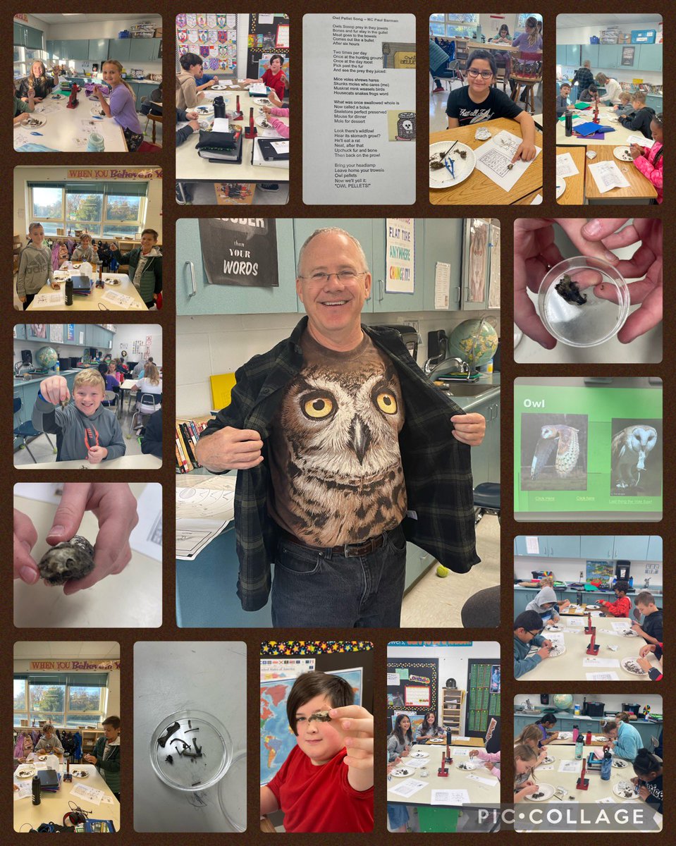 What did 5th graders in @FugateDave's class discover when digging through owl pellets? Check this out!  Talk about student engagement!! 🦉 🔬 #cheetahpride #WEareLakota #WEChooseLakota