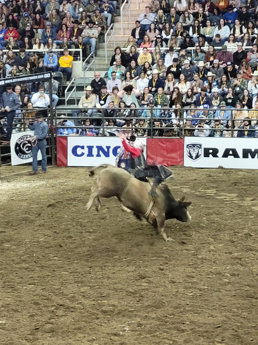 ncasey10's tweet photo. Some fun activities at night at the 2022 FFA National Convention.  Lauren Alaina and Jimmy Allen concert last night and a rodeo tonight. #ReedsburgPride https://t.co/AS42dwuD8l