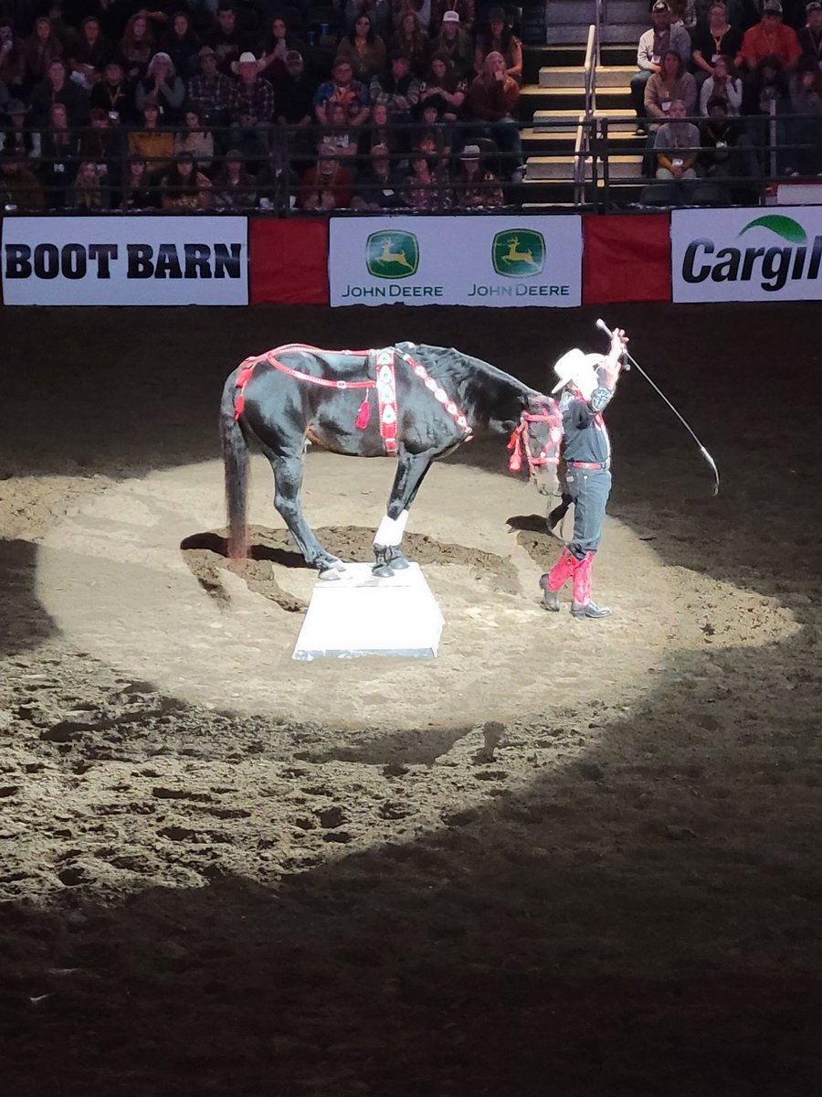 ncasey10's tweet photo. Some fun activities at night at the 2022 FFA National Convention.  Lauren Alaina and Jimmy Allen concert last night and a rodeo tonight. #ReedsburgPride https://t.co/AS42dwuD8l
