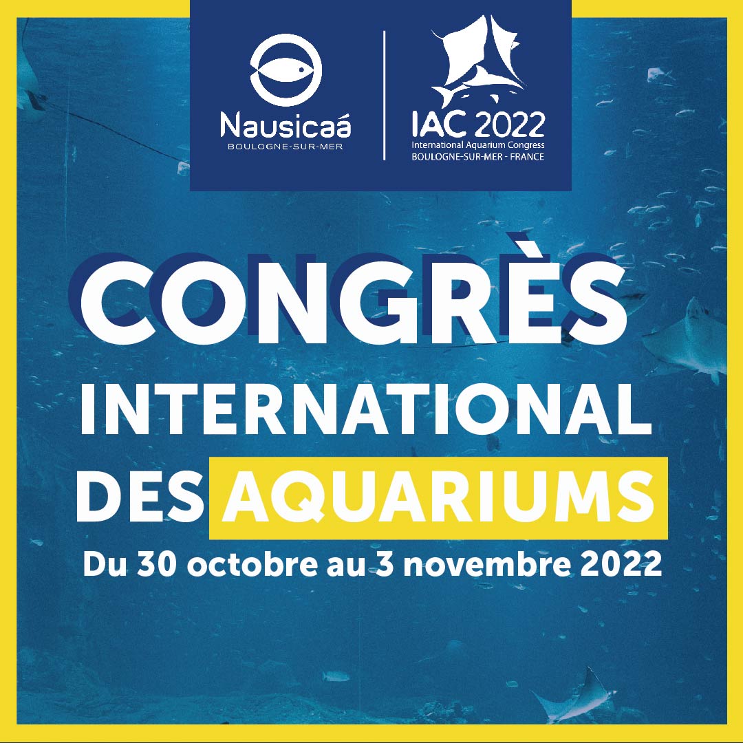 PlaneteNAUSICAA's tweet photo. Pour la première fois en #France, Nausicaá est fier d’accueillir le 11ème Congrès international des aquariums à Boulogne-sur-Mer du 30 octobre au 3 novembre 2022 ! 🌍🐟  #IAC2022Nausicaa 

👉 https://t.co/JUkCZ3t2FC https://t.co/luVKRSVZbX