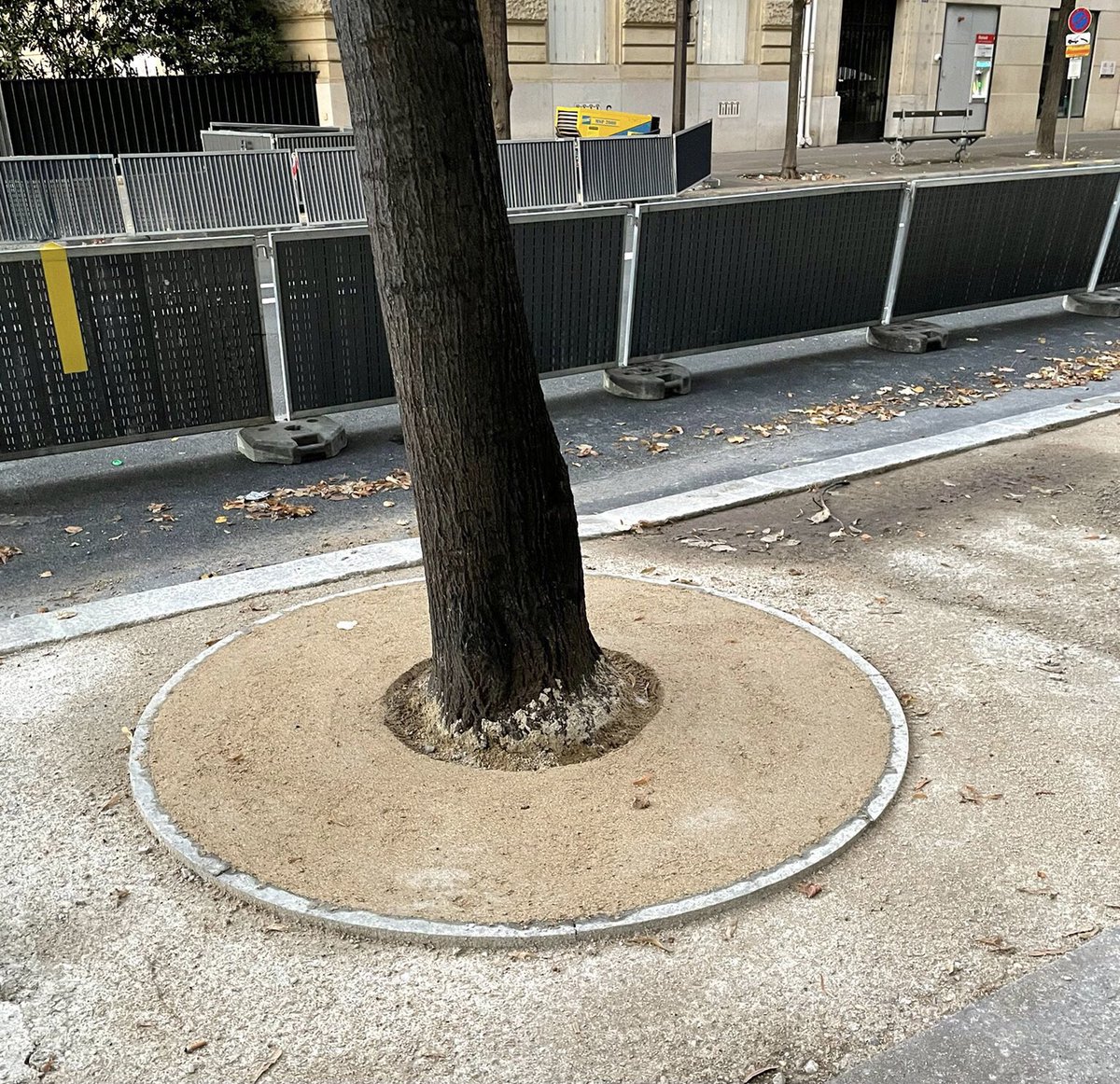 DuprDominique2's tweet photo. 😡🌳 ÉCOCIDE Le bétonnage des pieds d’arbres se poursuit à #Paris, massacrant les plus belles avenues. Comment une ville comme #Paris qui se prétend #écologique peut-elle à ce point maltraiter ses #arbres ? Quel respect de la #nature? #AuxArbresCitoyens #RéchauffementClimatique https://t.co/nqVuVA9Pya