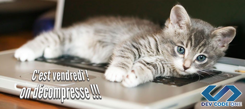DevCodeOne1's tweet photo. Le week-end arrive, on décompresse 😁😁😁 #dev #code #devcodeone #developpeur #web #weekend #informatique #internet #php #javascript #html #css #application #securite #hack #framework #symfony #laravel #friday #relax #enjoy #emploi #crunch #eloce #joie #fatigue #cerveau #cat https://t.co/JT66893AYk
