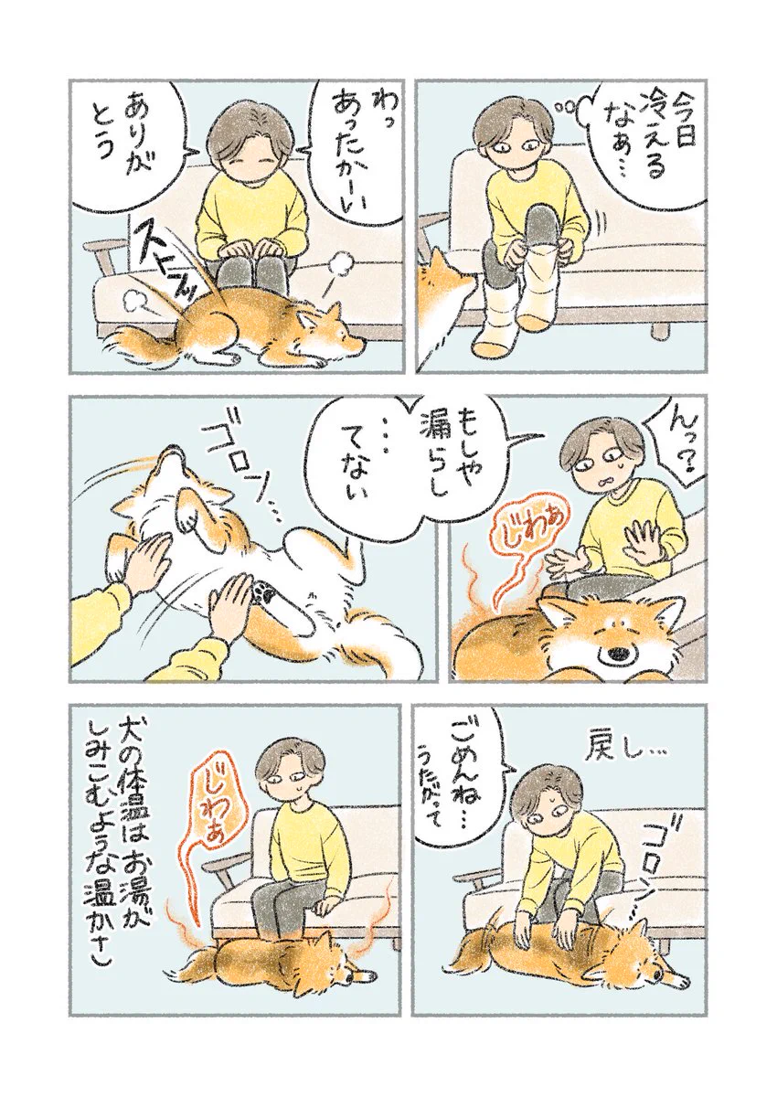 まるで足湯のよう？！ある日の愛犬とのやり取りを描いた漫画が話題に！