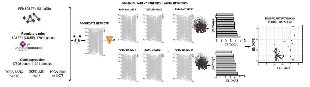 want to analyze patient-specific network models to detect heterogeneity? take a look at our tool PORCUPINE by <a href="/tanja_belova/">Tatiana Belova</a> kuijjerlab.org/tools/! a new version of the manuscript is now out on the BioRxiv doi.org/10.1101/2022.0…