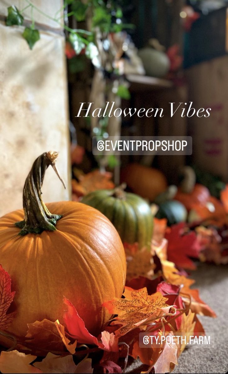 Counting down the days!…… #Halloween #events