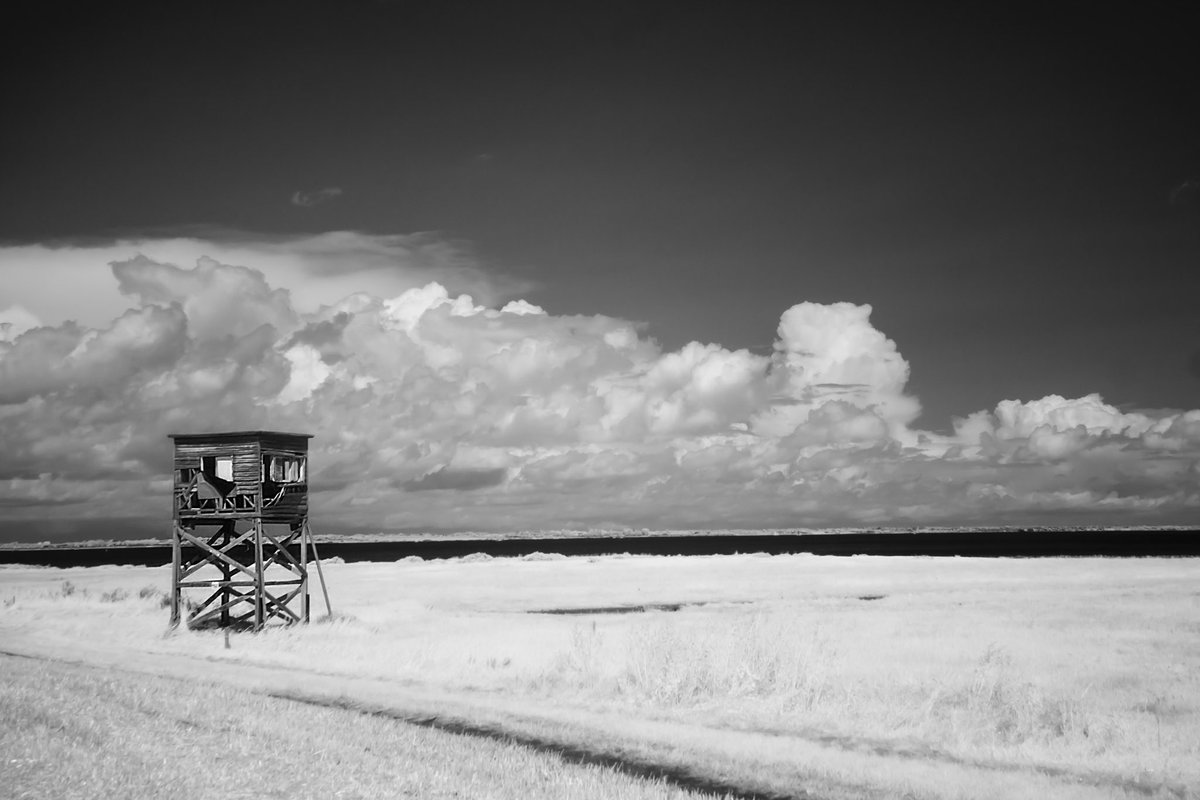 ImagesbyDA's tweet photo. Shell Beach lookout station in IR. 

 #Monochrome #Nature #Cloud #ScenicsNature #Sky #Outdoors #Sea #Tranquility #Beach 
#essex #essexlife  #picoftheday #essexphotographer #photography #essexcounty  #longexposure #bnw #blackandwhite #blackandwhitephotography #bnwphotography #ir https://t.co/6HznXSKVVp