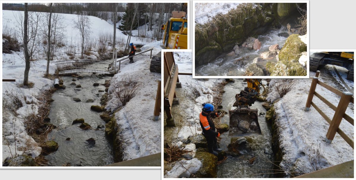 .<a href="/RauhamakiTerhi/">Terhi Rauhamäki</a> marsittaa esiin käytännön esimerkkejä rakennusalan luontotyöstä: ympäristötaidetta, luontopolkuja, pesimäpaikkoja, ennallistamista... Ekosysteemihotellimallissa arvokas luontotyyppi siirretään suojaan maa-ainesten oton ajaksi. Kuvat: @RudusOy #kestävärakentaminen