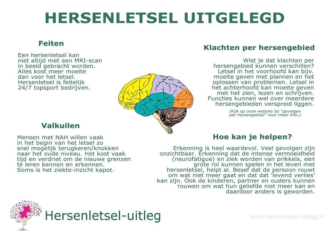 Prachtige kennisposters in onze webshop
 lnkd.in/e-qHG-r  
De posters hangen al op veel opleidingsinstituten, kantoren van ambulante begeleiders en coaches.
We hebben posters met alle hersengebieden uitgelegd qua functie of leg de link met hersenletsel en vele andere.